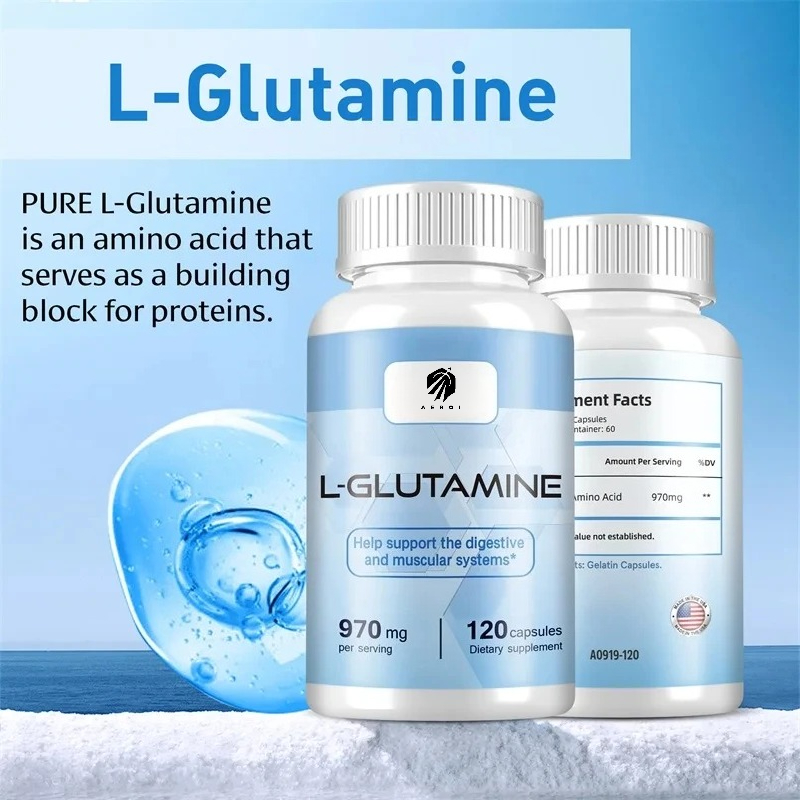 Nutrition For Fitness And Sports - L-グルタミンサプリメント、ワークアウト後の筋肉回復、脳機能改善、スポーツ栄養、フィットネスサポートに